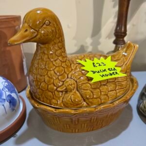 Duck egg holder
