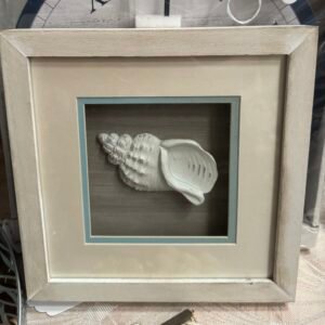 Shell Picture