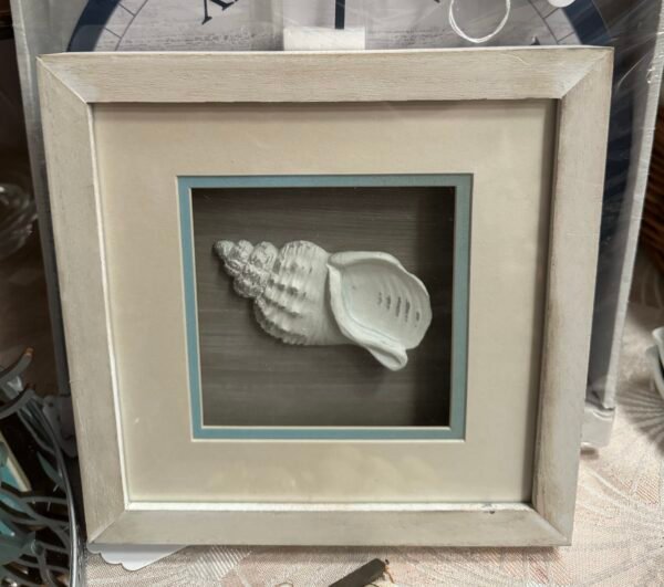 Shell Picture