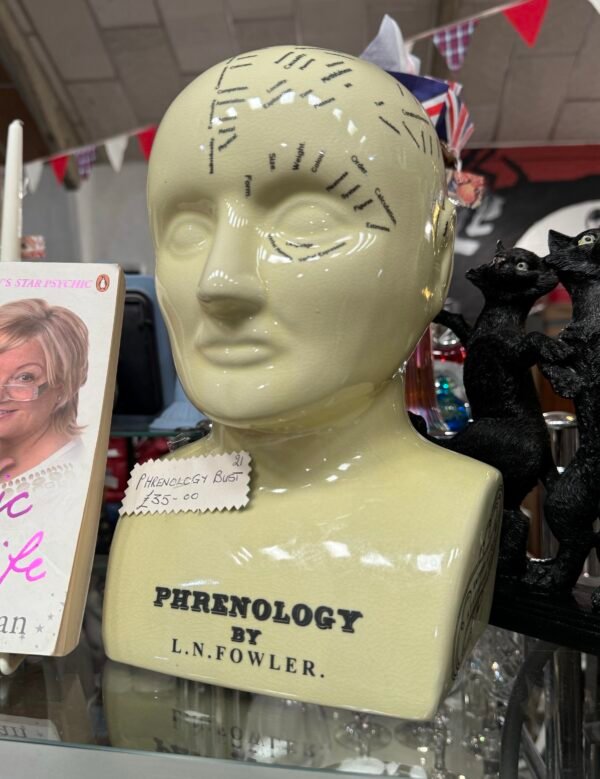 Phrenology bust