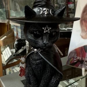 Nemesis cat with hat