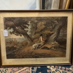 Rabbit shooting picture