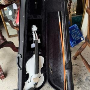 Violin and case