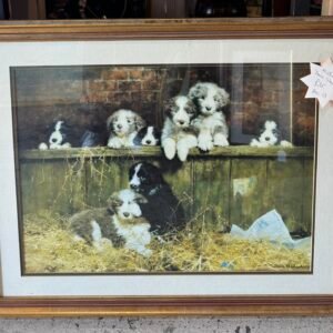 Muffins pups - David Shepherd