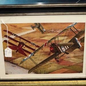 Fighter plane picture