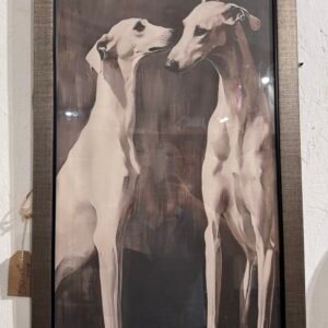 Elegant whippet/greyhound picture